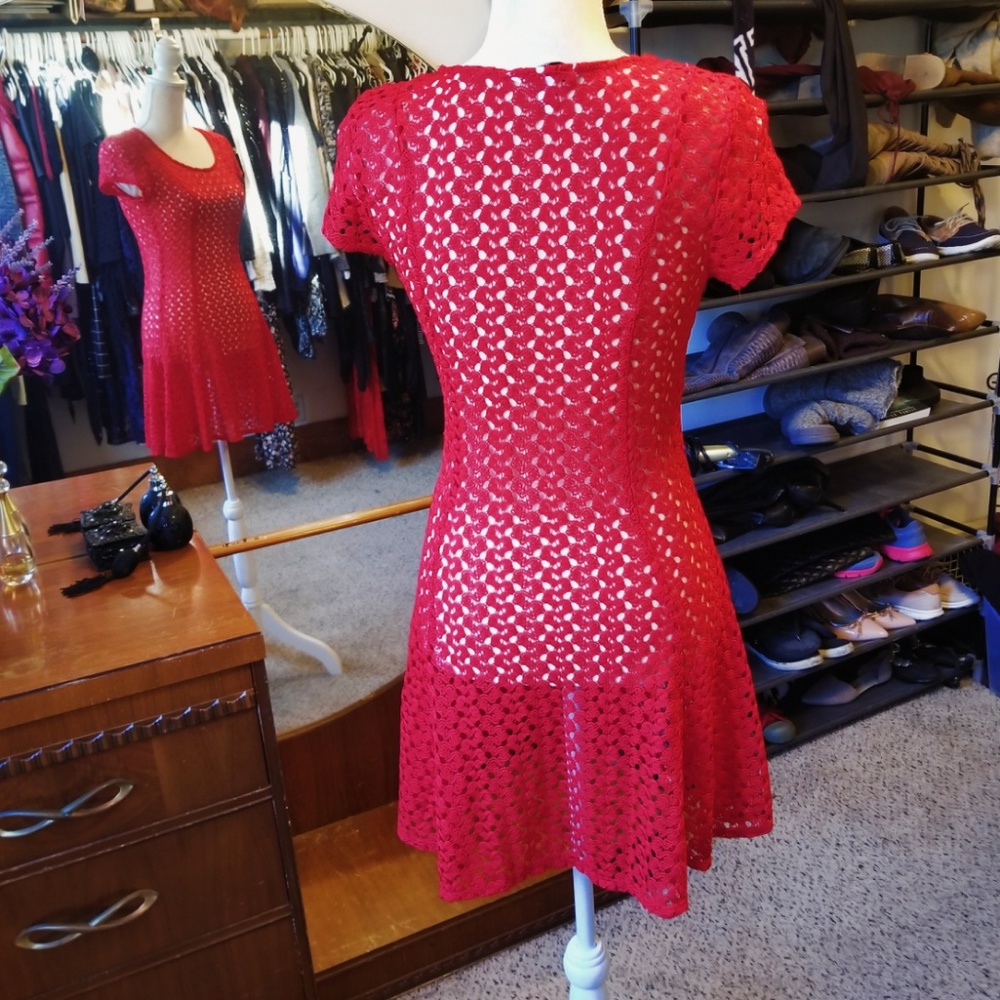 See Through Dress - Picture 6 of 7
